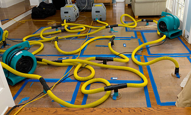 Professional Sewage Cleanup technician working in Trimble, MO